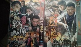 电视剧野山鹰全集在线观看,烽火岁月中的英雄传奇